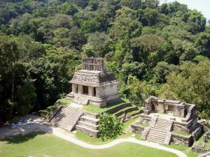 Palenque Maya archaeological site, Temple of the sun. surrounded by lush tropical rainforest.